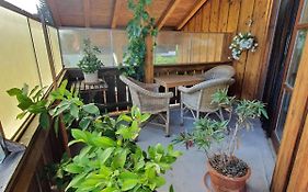 My Sweet Home