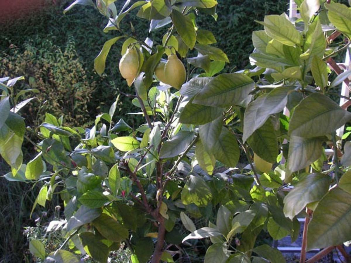My Sweet Home Sauerlach Esterno foto